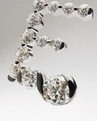 Zebra Hoops